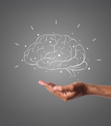 main cerveau